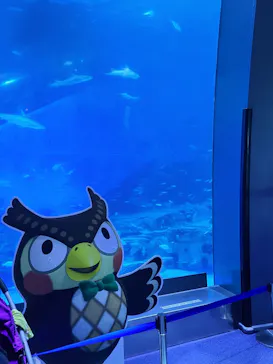 横浜・八景島シーパラダイスに投稿された画像（2021/7/22）