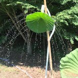 三溪園に投稿された画像（2021/7/23）