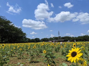 成田ゆめ牧場に投稿された画像（2021/7/22）