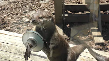 横浜・八景島シーパラダイスに投稿された画像（2021/7/23）