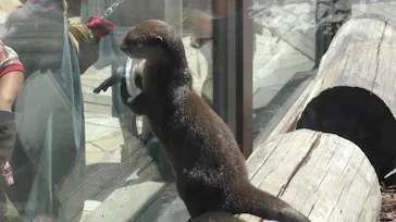 横浜・八景島シーパラダイスに投稿された画像（2021/7/23）