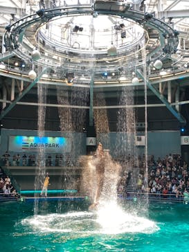 マクセル アクアパーク品川に投稿された画像（2021/7/23）