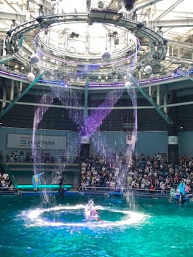 マクセル アクアパーク品川に投稿された画像（2021/7/23）