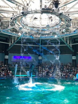 マクセル アクアパーク品川に投稿された画像（2021/7/23）