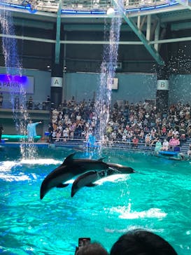 マクセル アクアパーク品川に投稿された画像（2021/7/23）