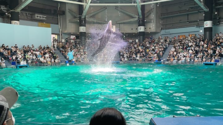 久しぶりの水族館で 家族で楽し レイナ さまの口コミ アソビュー