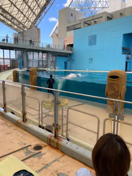 横浜・八景島シーパラダイスに投稿された画像（2021/7/23）