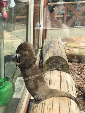 横浜・八景島シーパラダイスに投稿された画像（2021/7/23）