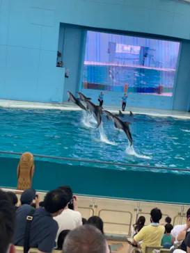横浜・八景島シーパラダイスに投稿された画像（2021/7/23）