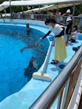 マリンワールド海の中道に投稿された画像（2021/7/23）