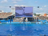 名古屋港水族館に投稿された画像（2021/7/23）