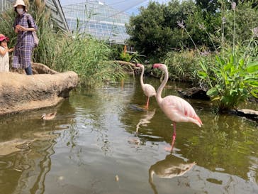 神戸どうぶつ王国に投稿された画像（2021/7/23）