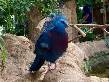 神戸どうぶつ王国に投稿された画像（2021/7/23）