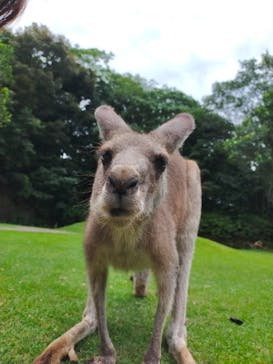 長崎バイオパークに投稿された画像（2021/7/23）