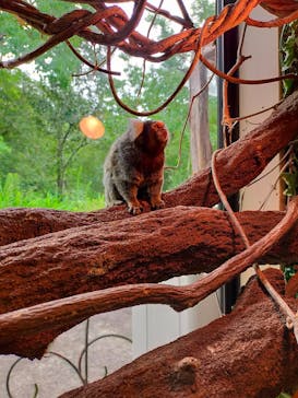 長崎バイオパークに投稿された画像（2021/7/23）