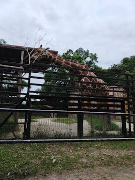 長崎バイオパークに投稿された画像（2021/7/23）