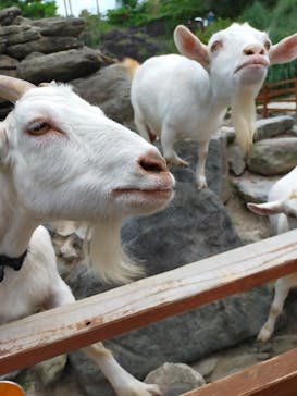 長崎バイオパークに投稿された画像（2021/7/23）