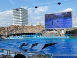 名古屋港水族館に投稿された画像（2021/7/23）