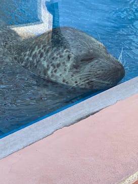 株式会社Gに投稿された画像（2021/7/23）