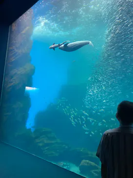仙台うみの杜水族館に投稿された画像（2021/7/23）