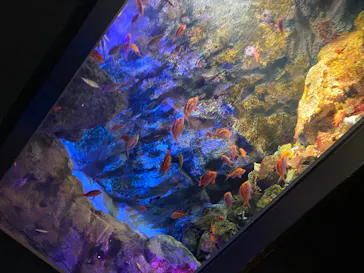 仙台うみの杜水族館に投稿された画像（2021/7/23）