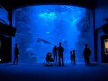 京都水族館に投稿された画像（2021/7/23）