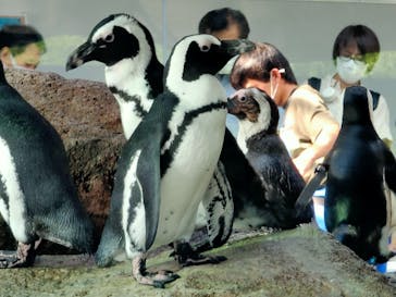京都水族館に投稿された画像（2021/7/23）