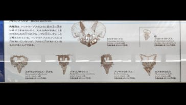 国立科学博物館に投稿された画像（2021/7/23）