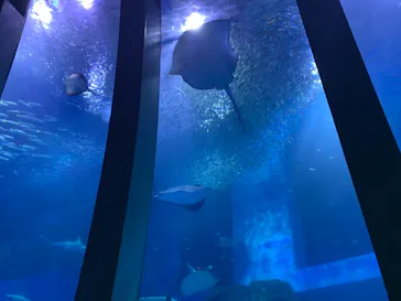 横浜・八景島シーパラダイスに投稿された画像（2021/7/23）