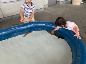 大分マリーンパレス水族館 「うみたまご」に投稿された画像（2021/7/23）