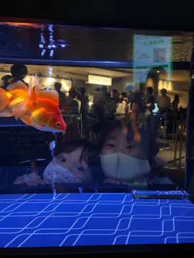 すみだ水族館に投稿された画像（2021/7/23）