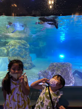 すみだ水族館に投稿された画像（2021/7/23）