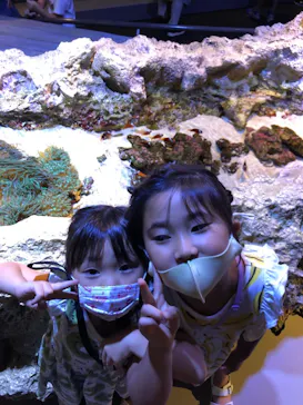 すみだ水族館に投稿された画像（2021/7/23）