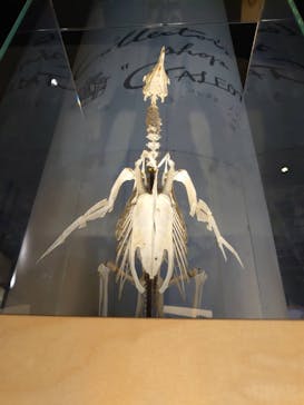 アクアワールド茨城県大洗水族館に投稿された画像（2021/7/23）