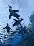 サンシャイン水族館に投稿された画像（2021/7/23）