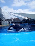 名古屋港水族館に投稿された画像（2021/7/23）