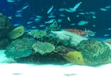 サンシャイン水族館に投稿された画像（2021/7/23）