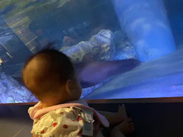 すみだ水族館に投稿された画像（2021/7/23）