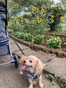 成田ゆめ牧場に投稿された画像（2021/7/23）