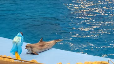 名古屋港水族館に投稿された画像（2021/7/23）