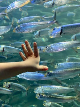 サンシャイン水族館に投稿された画像（2021/7/23）