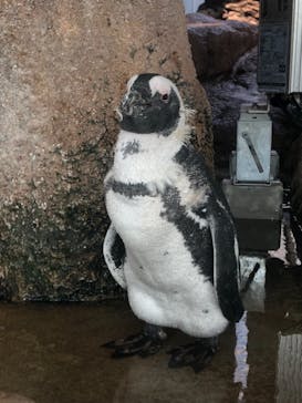 京都水族館に投稿された画像（2021/7/23）