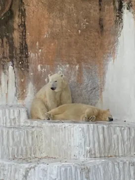 天王寺動物園に投稿された画像（2021/7/23）