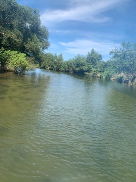 バグース倉敷に投稿された画像（2021/7/23）