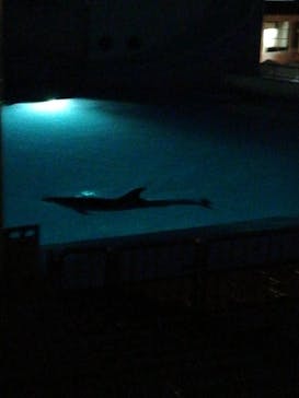 南知多ビーチランド＆南知多おもちゃ王国に投稿された画像（2021/7/23）