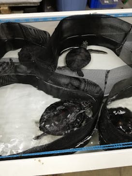 南知多ビーチランド＆南知多おもちゃ王国に投稿された画像（2021/7/23）