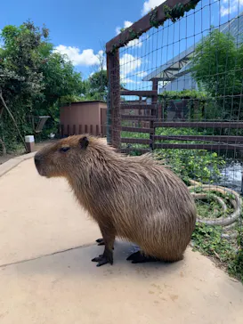 横浜・八景島シーパラダイスに投稿された画像（2021/7/23）