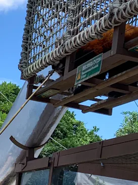 横浜・八景島シーパラダイスに投稿された画像（2021/7/23）