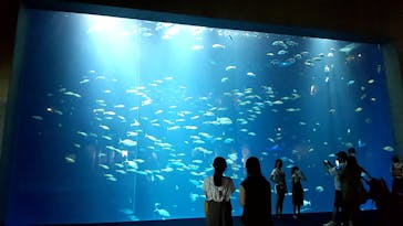 四国水族館に投稿された画像（2021/7/23）