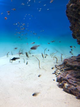 アクアワールド茨城県大洗水族館に投稿された画像（2021/7/23）